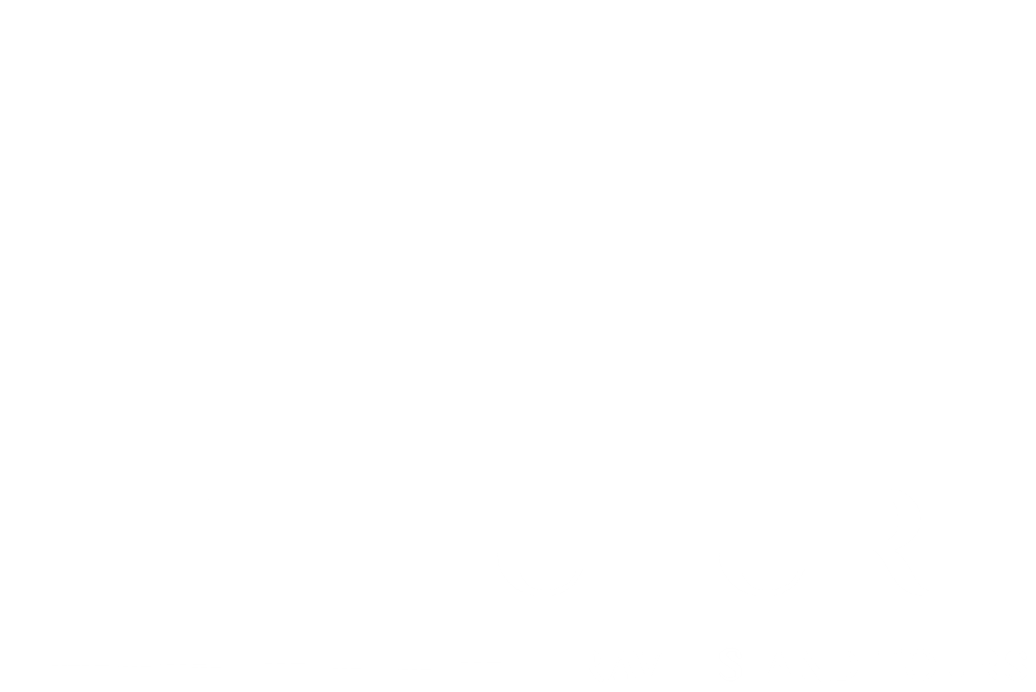 The Future Travel & Tours